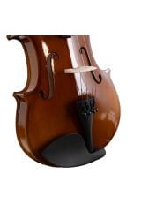 VLN-100G 4/4 Parlak Cila Keman