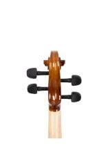 VLN-100G 4/4 Parlak Cila Keman