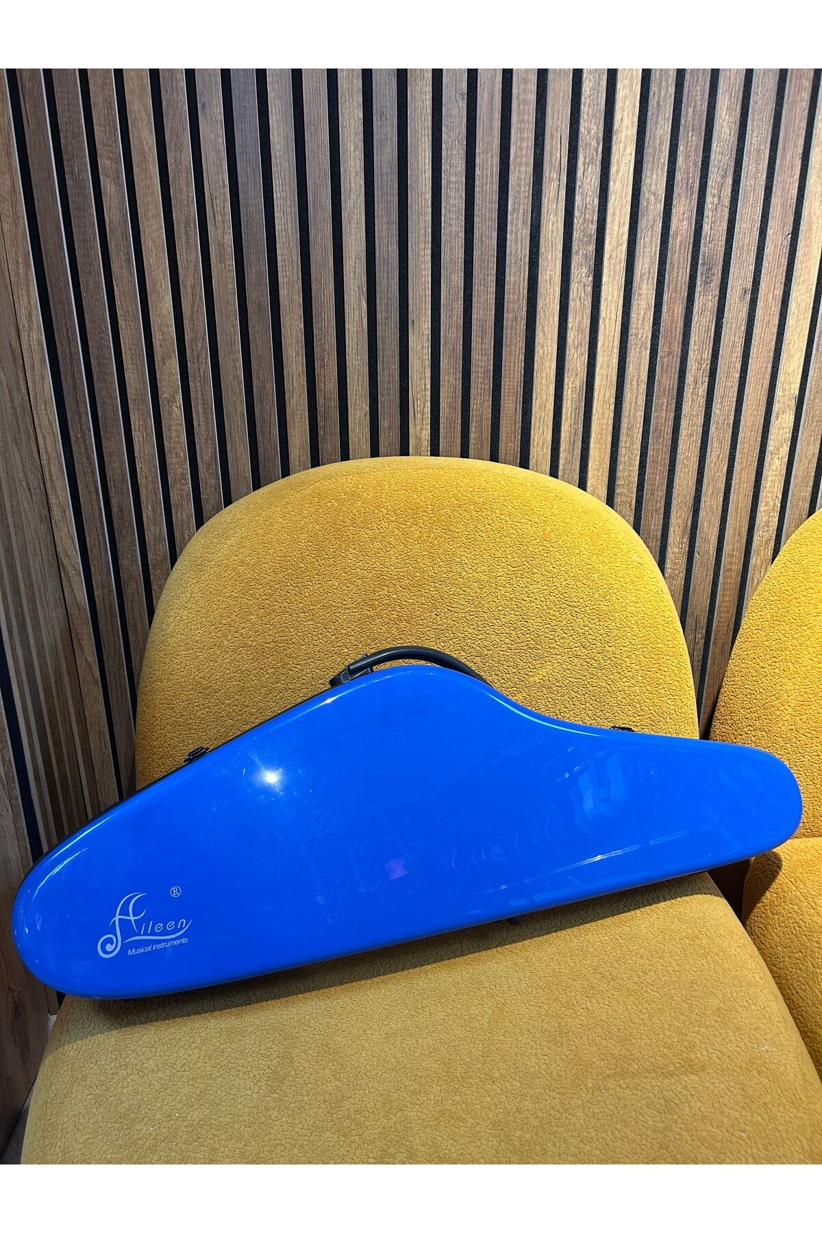 Aileen Fiber Hardcase Keman Kılıfı Mavi