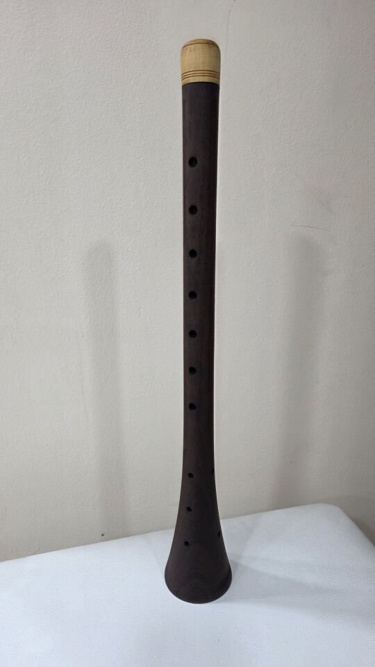 ERİK AĞACI 55 CM Mİ KABA ZURNA