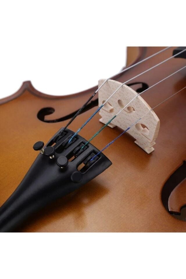 Bremen Bv-044 4/4 Lamine Ağaç Tam Boy Keman