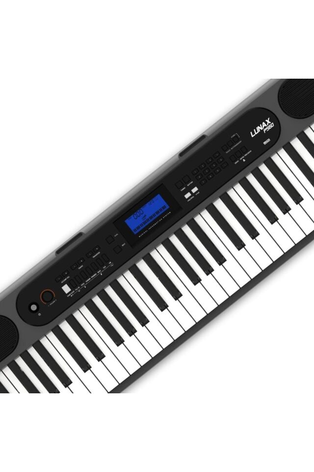 Lunax PS-60 GRİ ORG