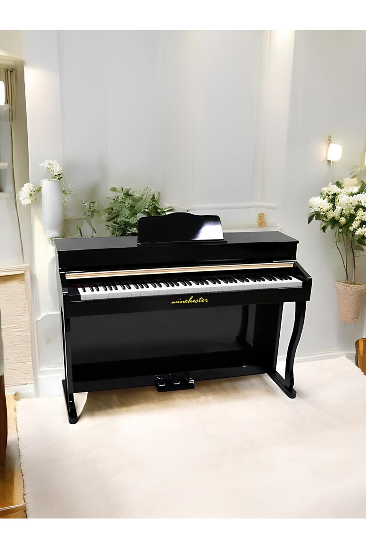 WINCHESTER WDP-4952 PİYANO 88 TUŞLU
