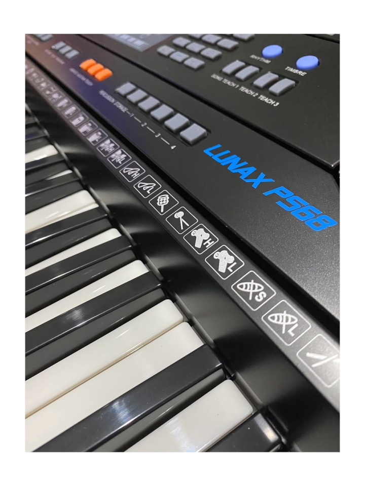Lunax PS68 5 Oktav Org 61 Tuşlu Tuş Hassasiyetli